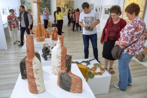 Muzeul de arte vizuale a FAPD