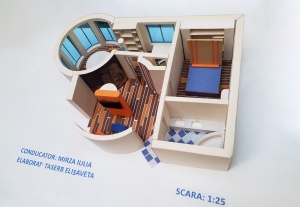 proiect4
