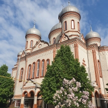 Tabără de Pictură Drochia1