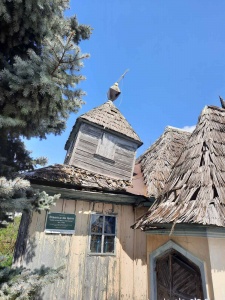 Tabără de Pictură Drochia5