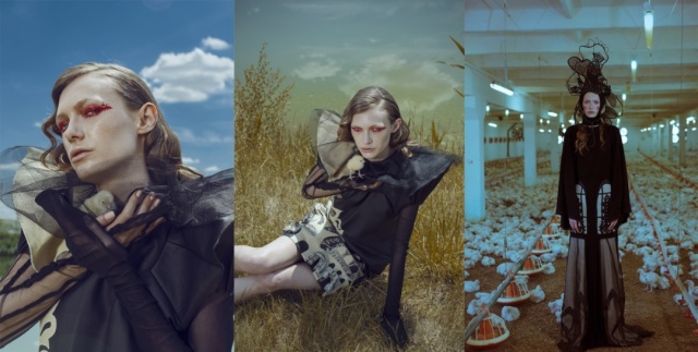 Excelenta-academica-recunoastere-institutionala-si-performanta-creativa-6